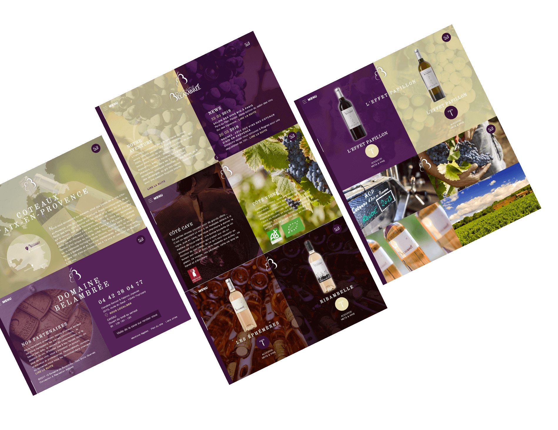 Site web